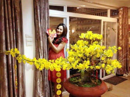 5 căn nhà trong mơ của mỹ nhân Việt 14