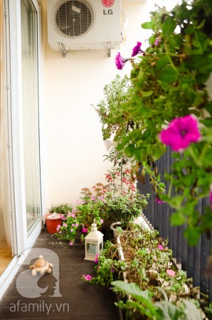 Căn hộ tự thiết kế đầy ngọt ngào của nữ kiến trúc sư ở Thanh Xuân, Hà Nội 9